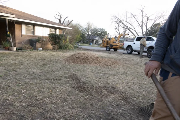 Cleared site after emergency tree removal