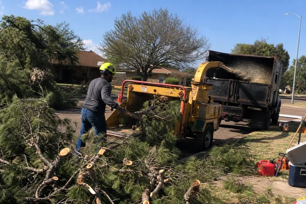 Commercial chipper processing storm debris