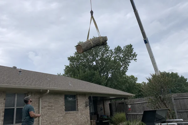 Crane lifting a pecan trunk section over a roof