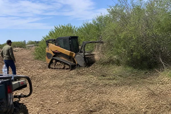 Fecon mulching head clearing brush