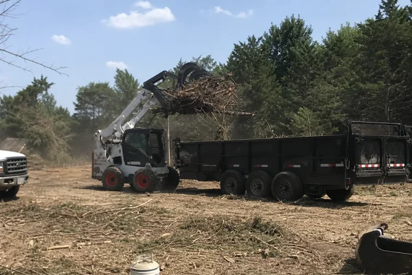 Grapple bucket loading cleared trees for haul-off