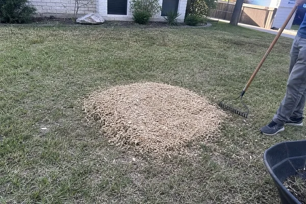 Ground backfilled with mulch after grinding