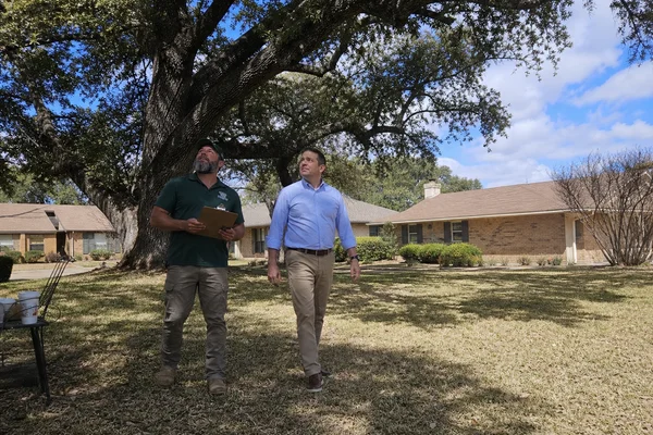 HOA tree risk walkthrough with a property manager