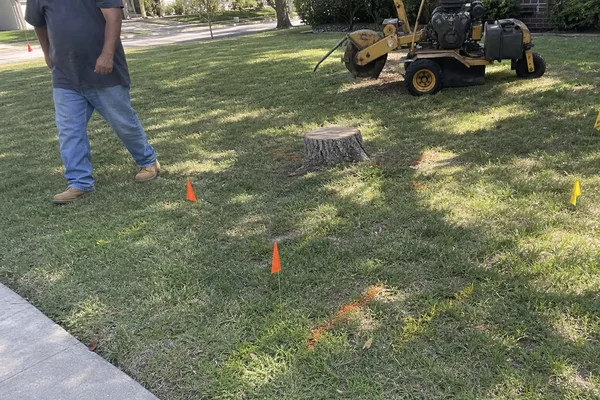 Texas 811 utility locate flags before grinding
