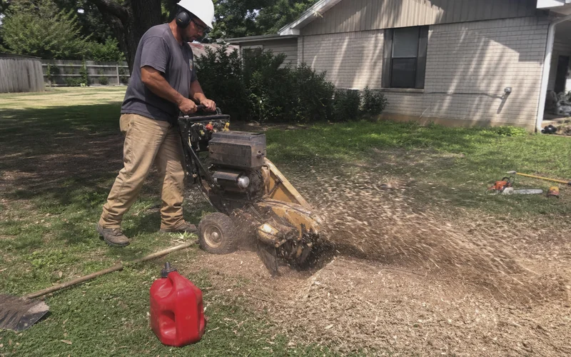 Carlton stump grinder processing a large pecan stump