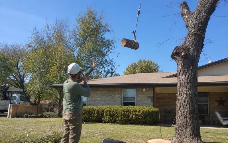 Certified arborist directing a crane pick over a home
