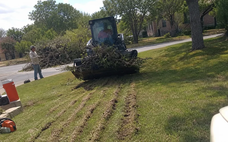 Skid steer clearing snapped oak limbs from a residential lawn