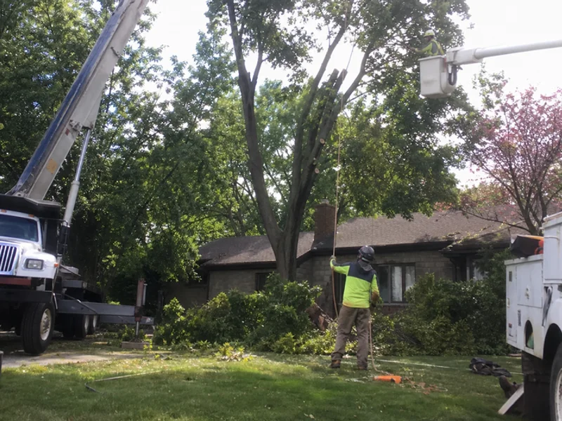 Crew with crane and bucket truck on a removal job