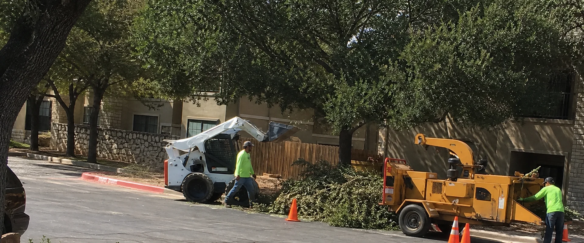 Commercial Tree Service