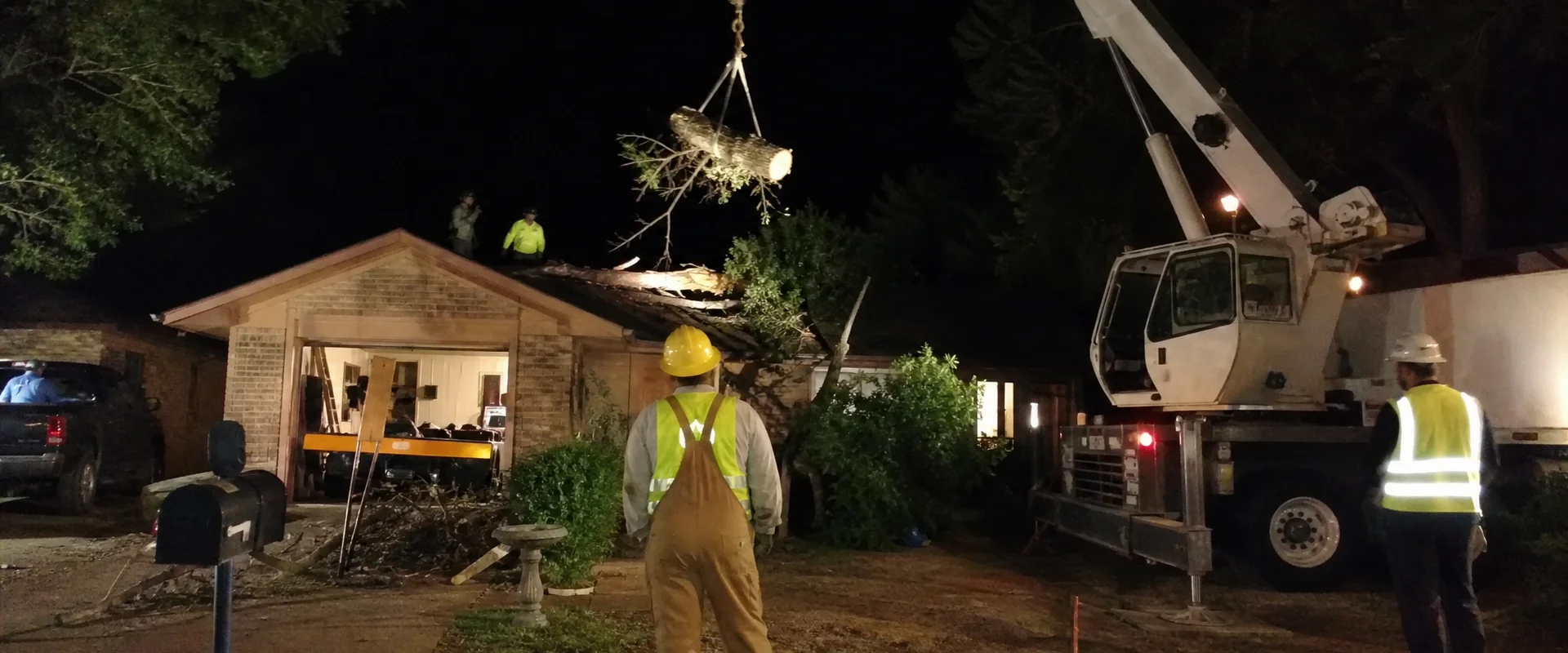 Emergency Tree Removal