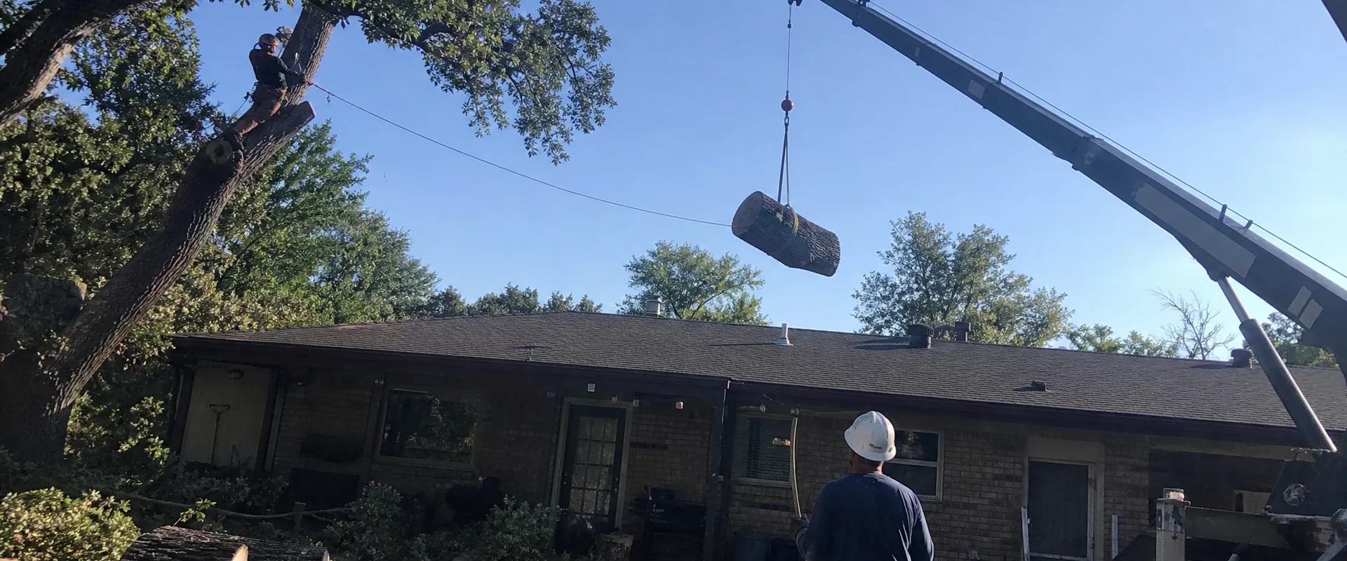 Crane-Assisted Tree Removal